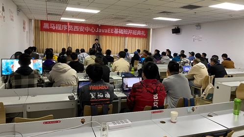 黑马程序员技术交流社区 打造开发者成长生态圈