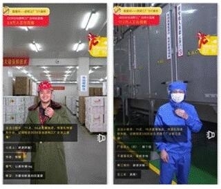 第十二届安徽农交会盛大开幕 洽洽食品以“质造”引领行业健康发展